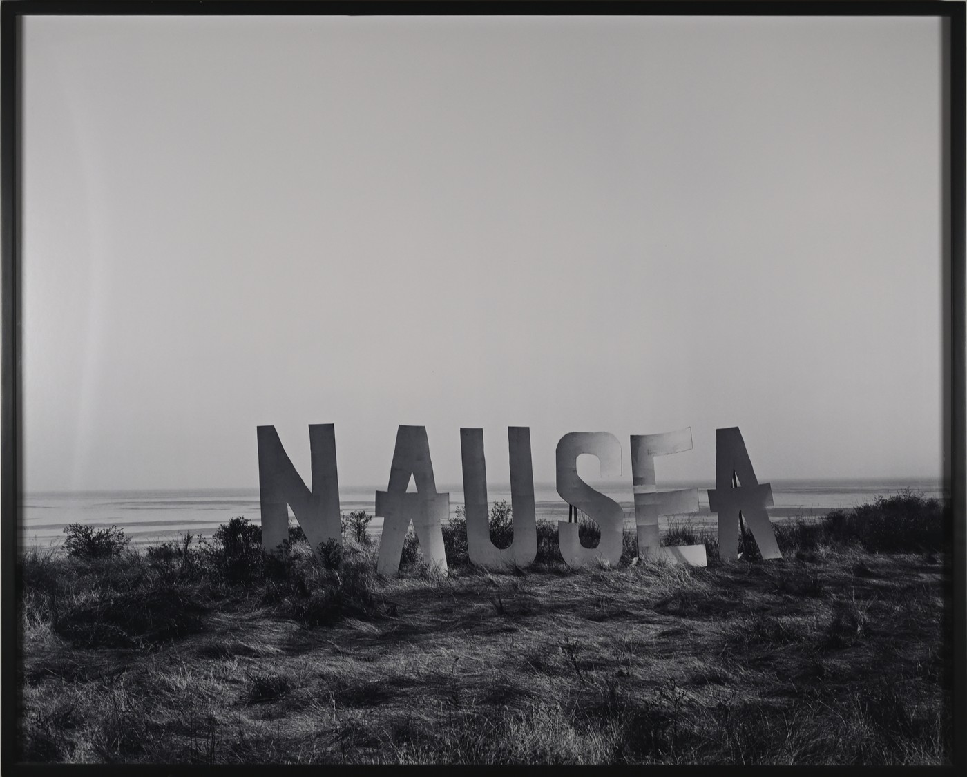 Shannon Ebner, USA Nausea