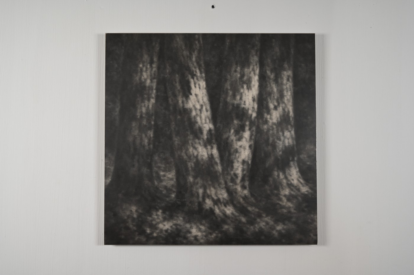 Serse, Untitled
