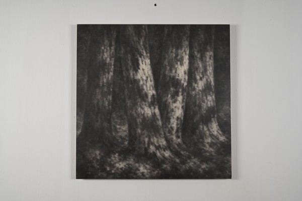 Serse, Untitled