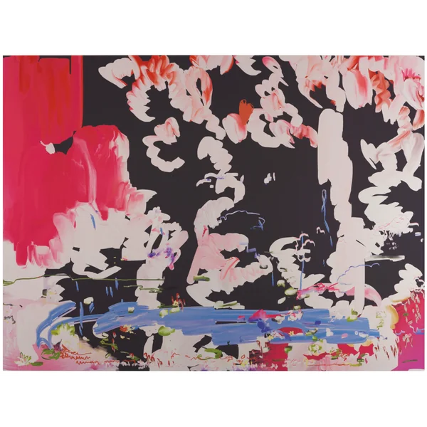 Petra Cortright, Dark dreamer / School days