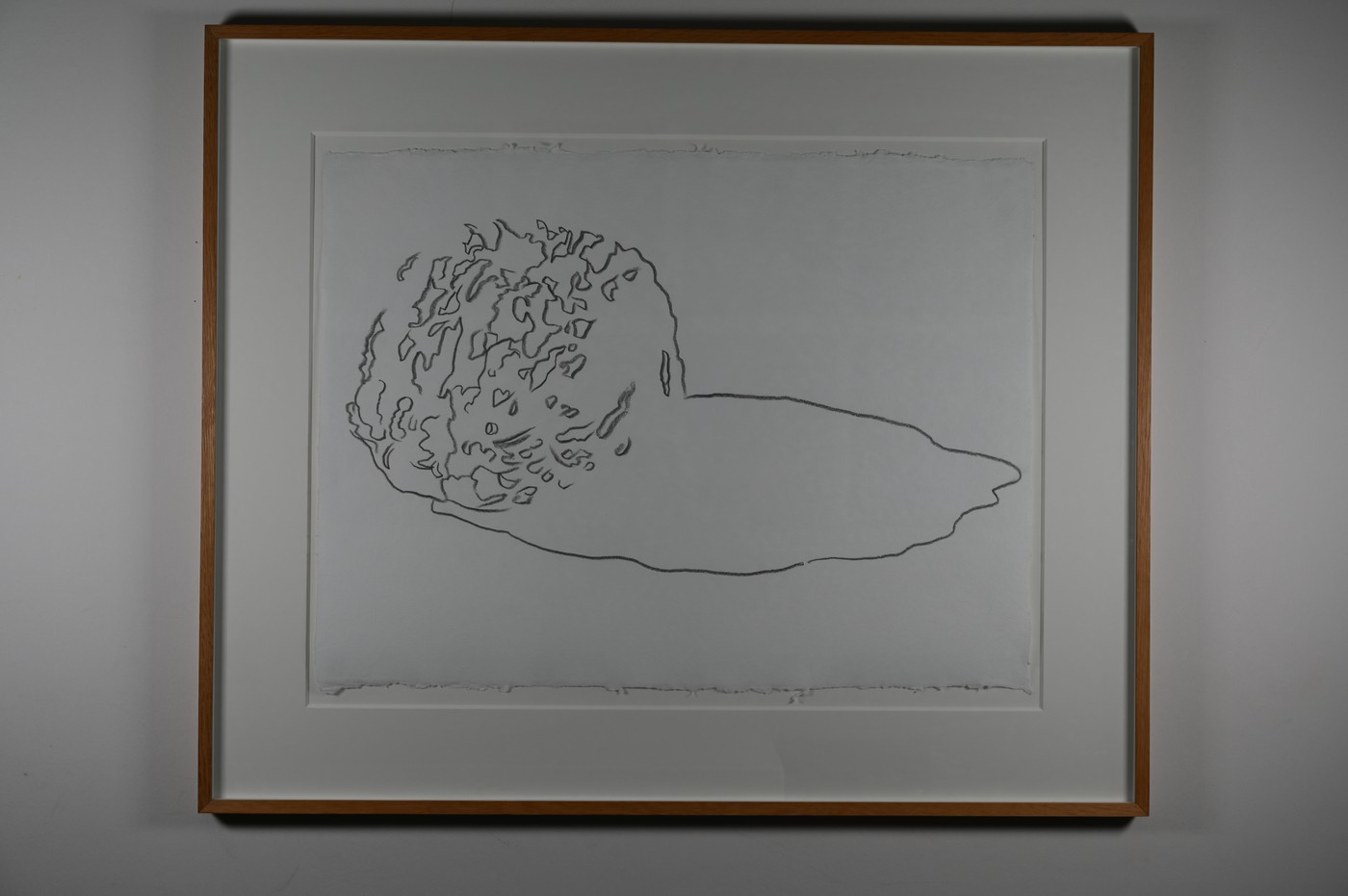 Andy Warhol, Space Fruit